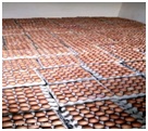 Eggs Production